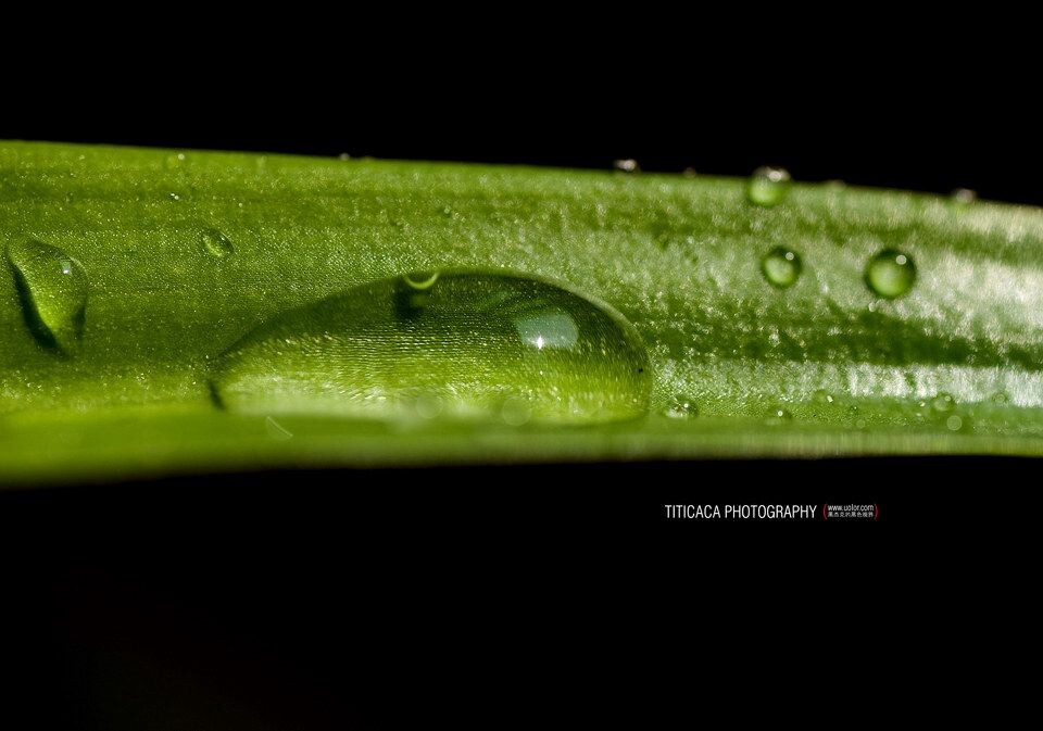 201055661dfuysu1uk6yt1<br />
要拍清晰还真的要掌握，镜头在手里晃的那个平衡点，在儿子捣乱的情况下，拍了张唯一清晰的