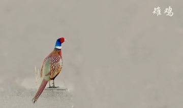 2824
