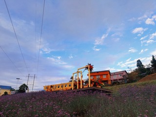 2519935