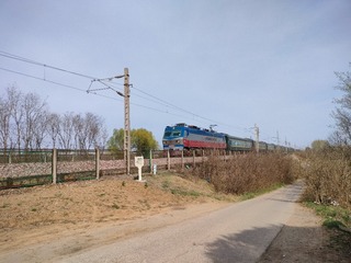 1000035586