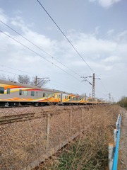 1000036402