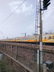 1000036401