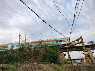 1000037407