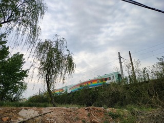 1000037408