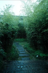DSCF0716