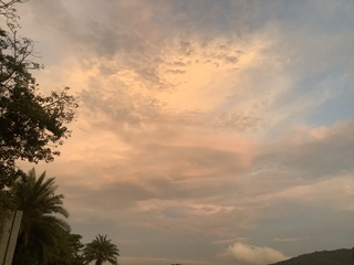 21241A0F-70D1-4E0D-9E24-C8806418D6DE/L0/001