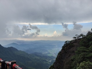 1000017393