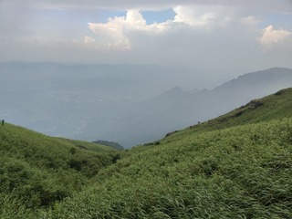 1000017416