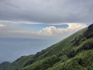 1000017414
