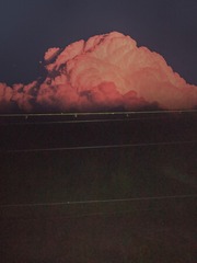 129204