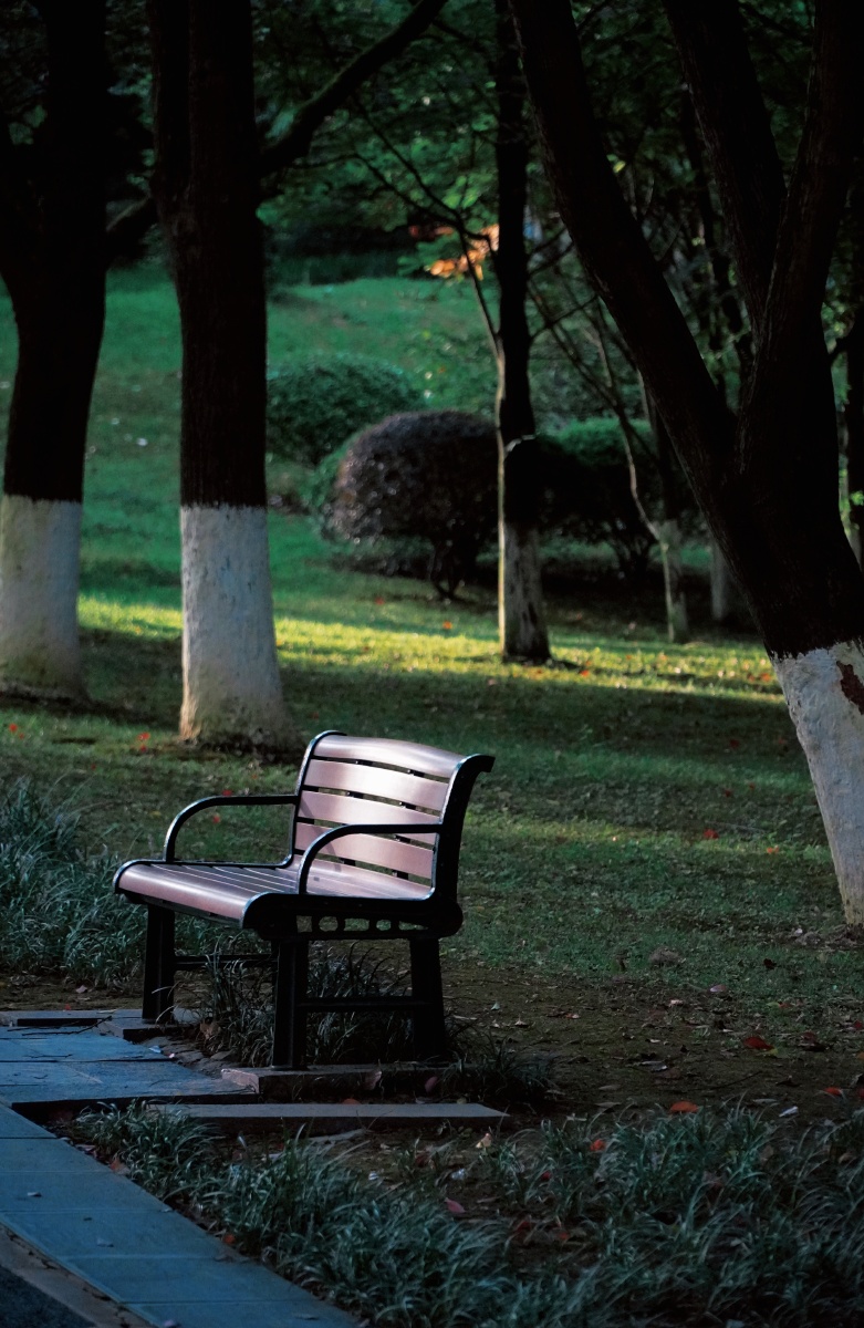 主题摄影心理学生活之美设备sony640018105镜头介绍每张照片从远景到