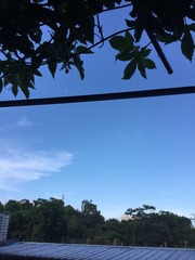 B34FFFE6-8FFF-4086-B16C-F5900D0D7C21/L0/001