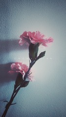 53E7EE6F-05B8-44DF-8D26-5D1832CE93CC/L0/001