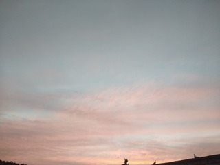 1121046