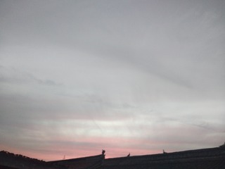 1121056