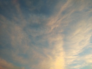 1121029