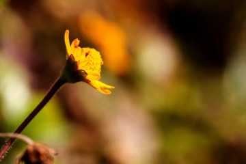 IMG_6059.jpg
