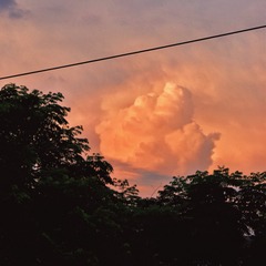 FE47615D-A471-48EB-A24F-D99F51073773/L0/001