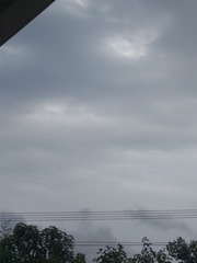 393521