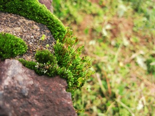 F71C6565-7F8C-414C-B701-CBDE06E6D70F/L0/001