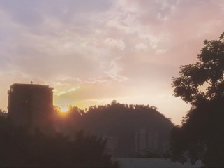 363