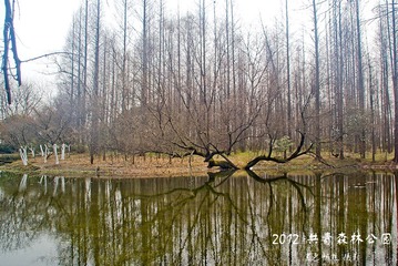 DSC00113.jpg