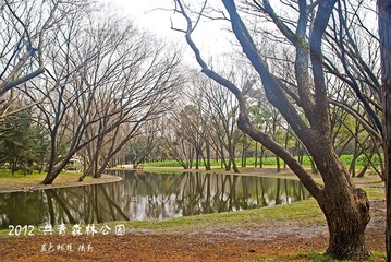 DSC00102.jpg