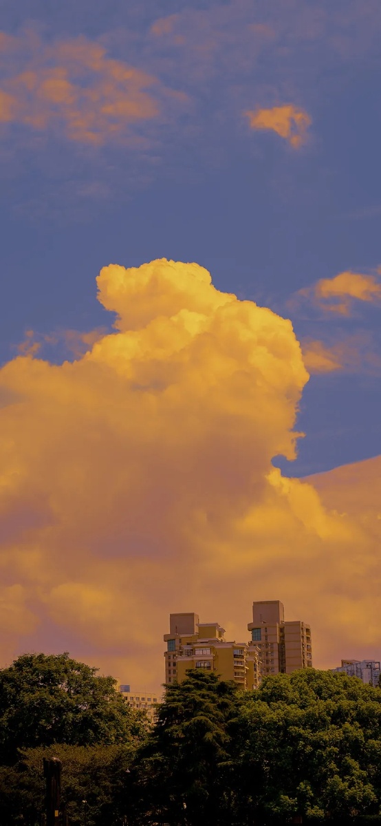 落日下的云朵最是温柔了呢