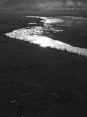 xianglinzhi04