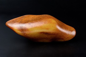 _MYG7289