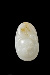 _MYG5363