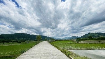 AB1774F0-F672-495A-8AC5-500FC194E970/L0/001