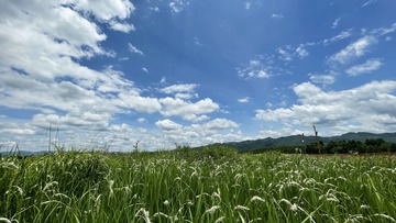 1C8BD0A3-7226-4FB4-90C8-3635E8880502/L0/001