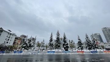 352FC1F6-6E7C-42D6-9DF6-CF0F4688D2E7/L0/001