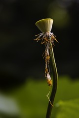 1203421