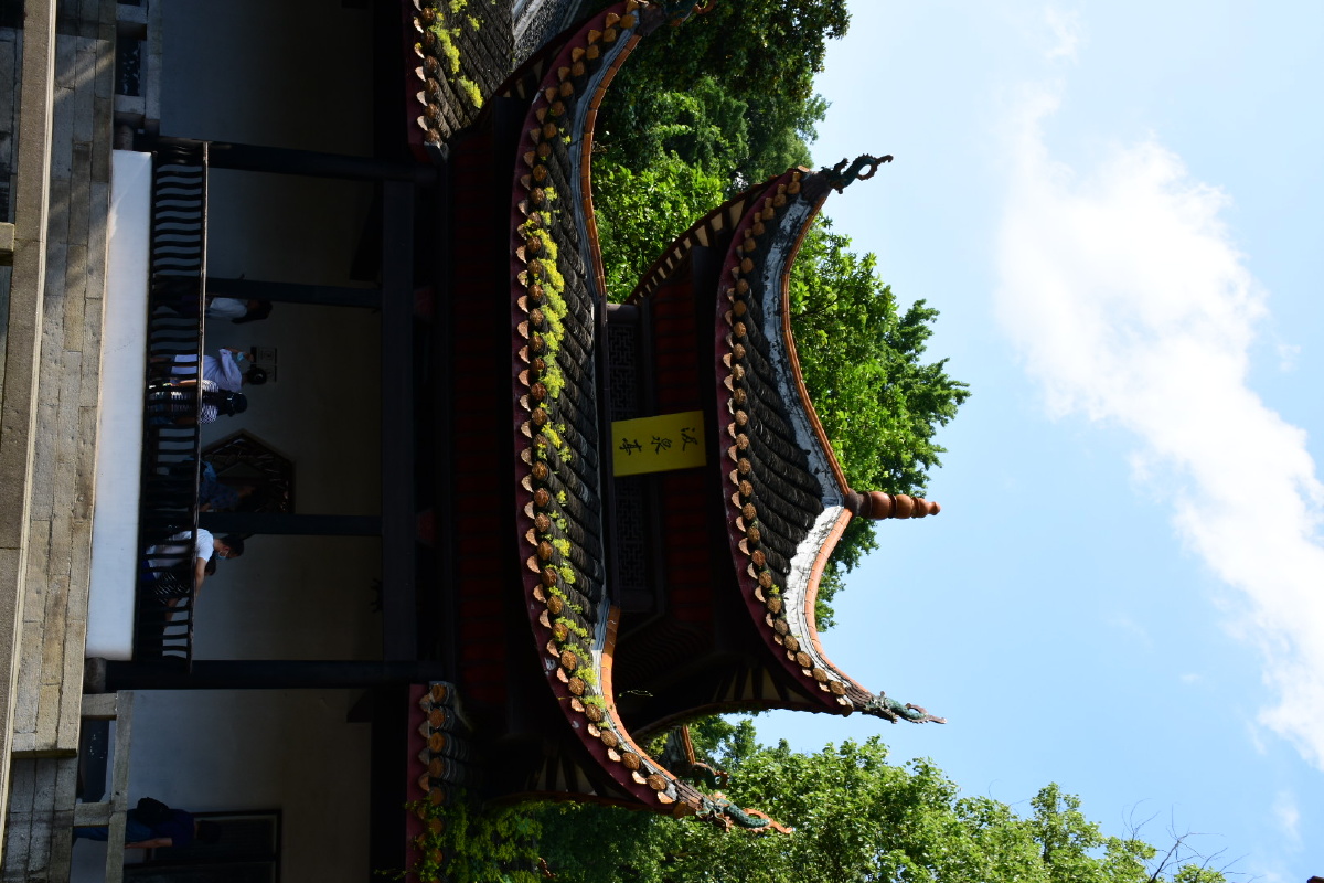 岳麓书院岳麓山湖南大学爱晚亭