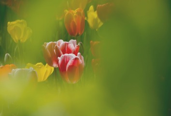 182