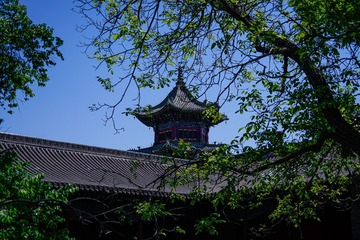 70CB69C7-AD80-4FC7-A29B-D66A631B9A56/L0/001