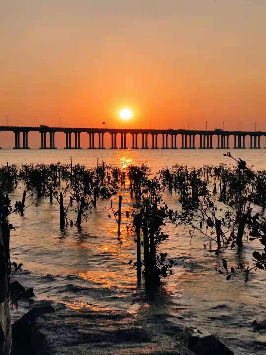 深圳市一西湾红树林湿地公园