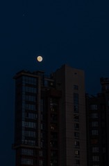 1076446