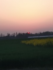 469142