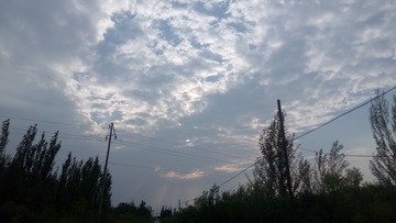 3288461