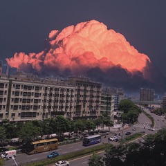 596003