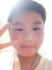 336037