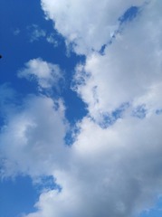 1123018