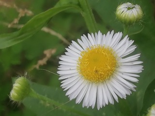 982051