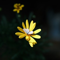 08CACF97-E821-403C-A3EB-F234B63AB008/L0/001
