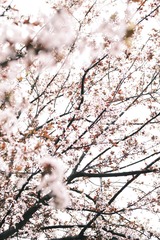 73F00BBD-2C7F-4F8C-A941-F424E6C1950A/L0/001