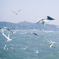 6D7B6DFE-B059-479F-AC27-B8DE4944F047/L0/001