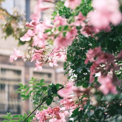 38F86342-1EB1-4DE0-A54B-24147BFC51AC/L0/001